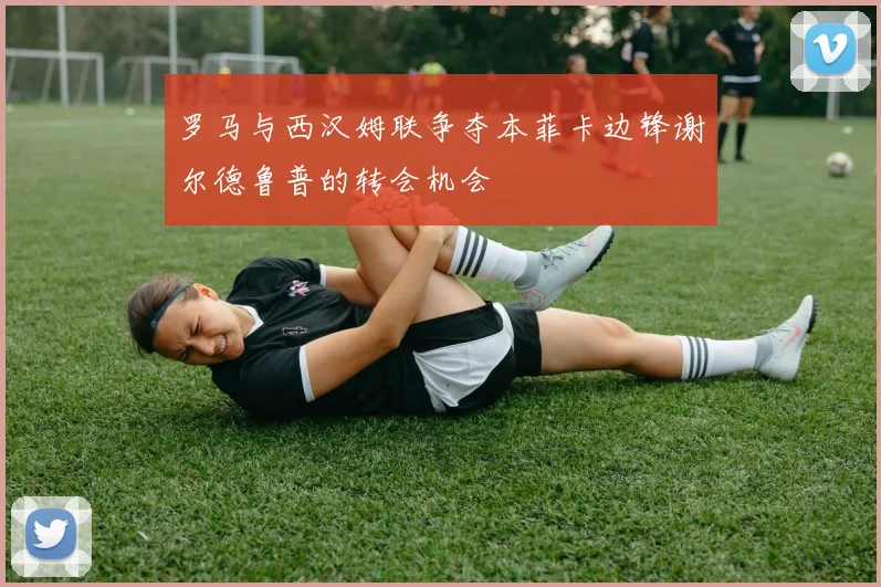 罗马与西汉姆联争夺本菲卡边锋谢尔德鲁普的转会机会